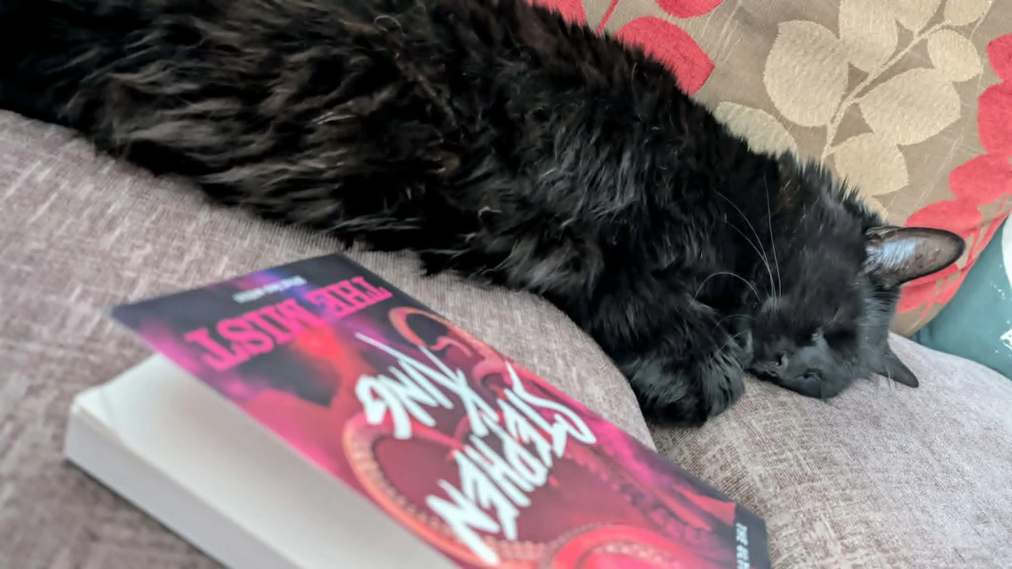Black cat sleeping on a couch next to a book titled "The Mist" by Stephen King with a colorful, red and pink cover.